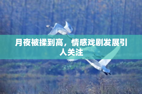 月夜被揉到高，情感戏剧发展引人关注