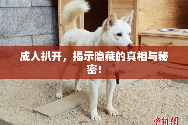 成人扒开，揭示隐藏的真相与秘密！