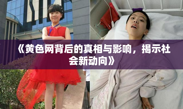 《黄色网背后的真相与影响，揭示社会新动向》
