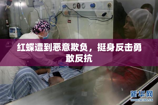 红蝶遭到恶意欺负，挺身反击勇敢反抗
