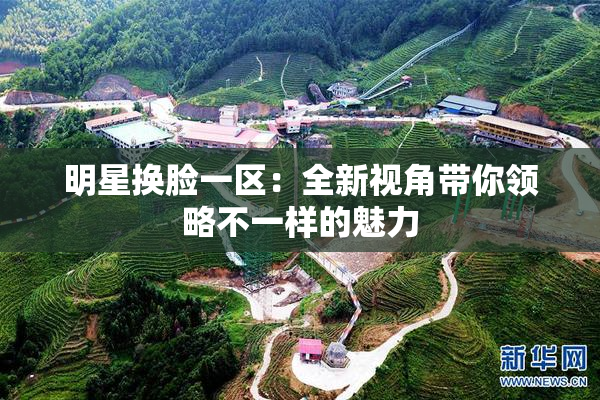 明星换脸一区：全新视角带你领略不一样的魅力