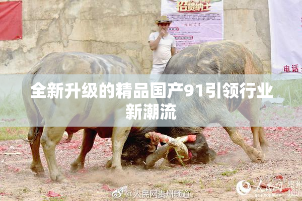 全新升级的精品国产91引领行业新潮流