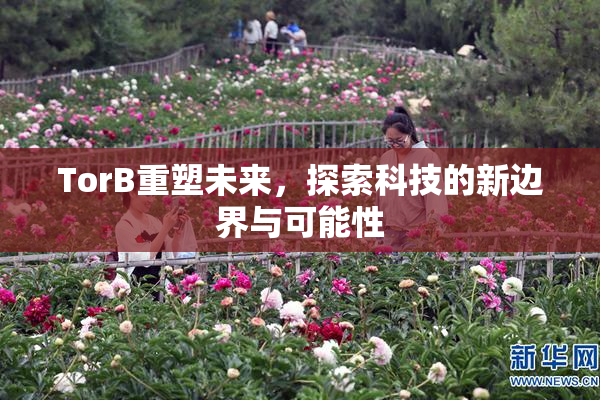 TorB重塑未来，探索科技的新边界与可能性