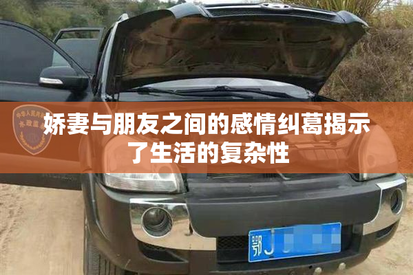 娇妻与朋友之间的感情纠葛揭示了生活的复杂性