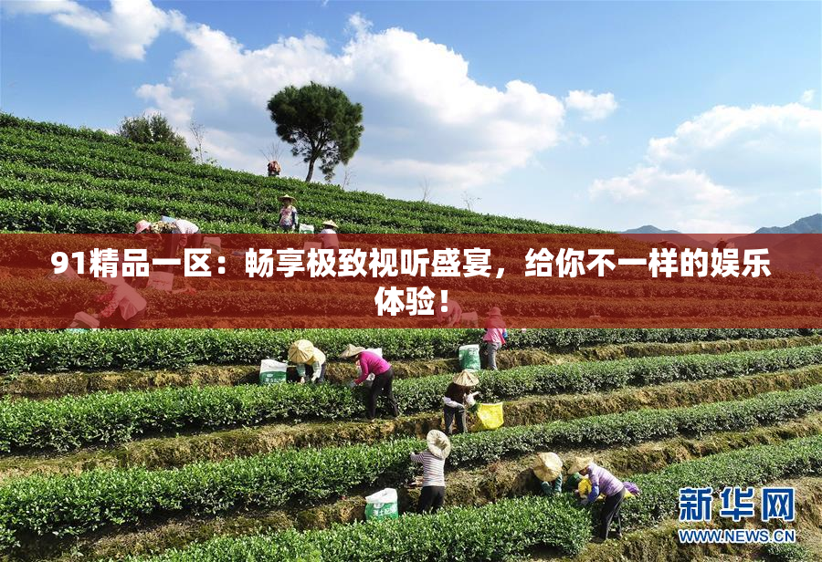 91精品一区：畅享极致视听盛宴，给你不一样的娱乐体验！