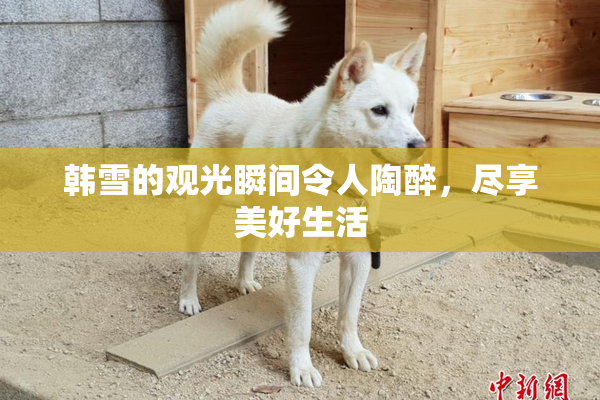 韩雪的观光瞬间令人陶醉，尽享美好生活