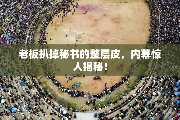 老板扒掉秘书的整层皮，内幕惊人揭秘！