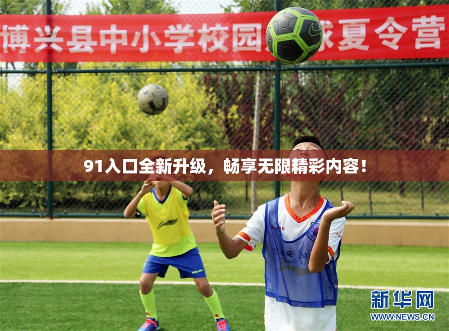 91入口全新升级，畅享无限精彩内容！