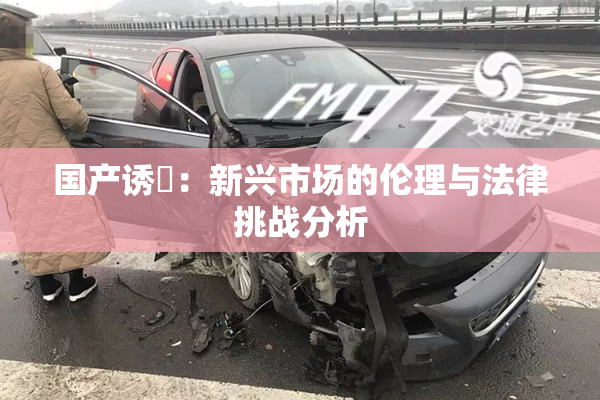 国产诱奷：新兴市场的伦理与法律挑战分析