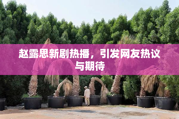 赵露思新剧热播，引发网友热议与期待