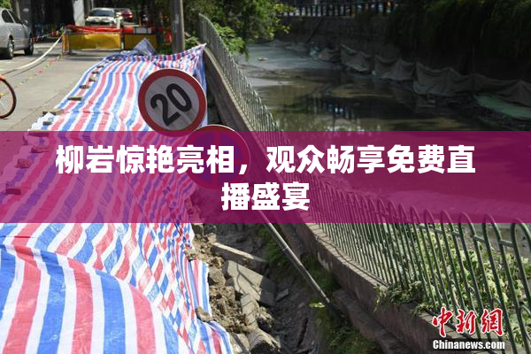 柳岩惊艳亮相，观众畅享免费直播盛宴