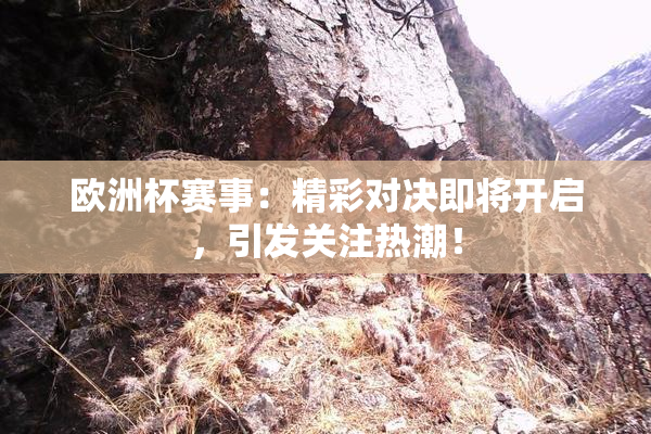 欧洲杯赛事：精彩对决即将开启，引发关注热潮！