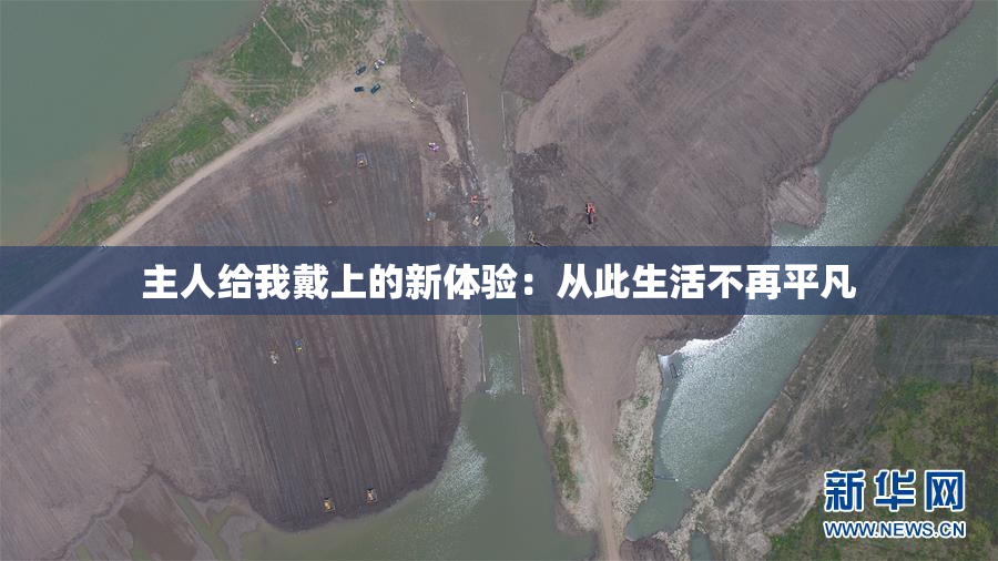 主人给我戴上的新体验：从此生活不再平凡