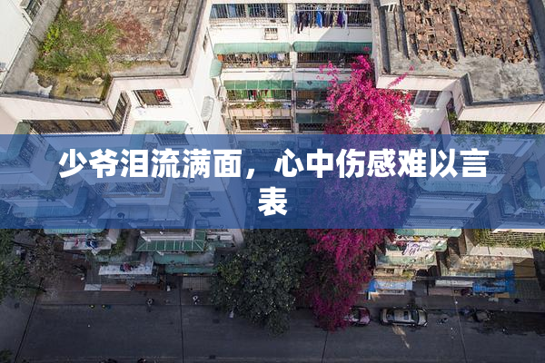 少爷泪流满面，心中伤感难以言表