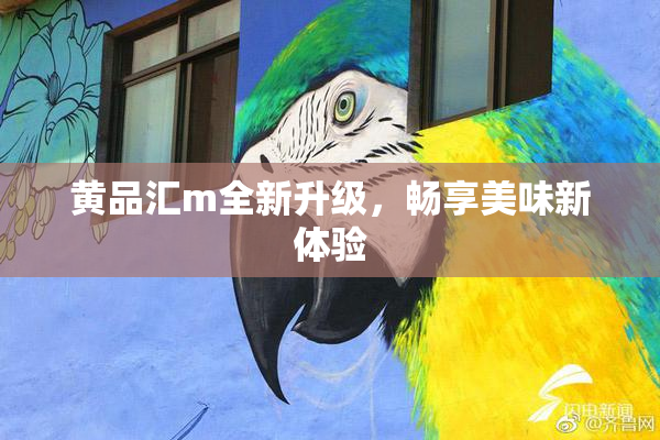 黄品汇m全新升级，畅享美味新体验