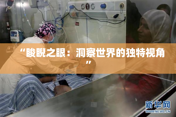 “睃睨之眼：洞察世界的独特视角”