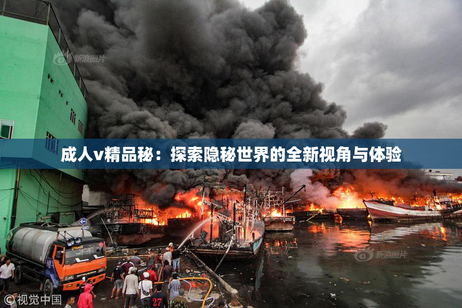 成人v精品秘：探索隐秘世界的全新视角与体验