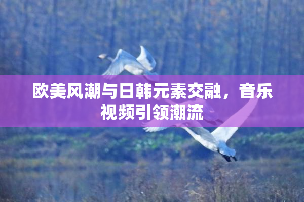 欧美风潮与日韩元素交融，音乐视频引领潮流