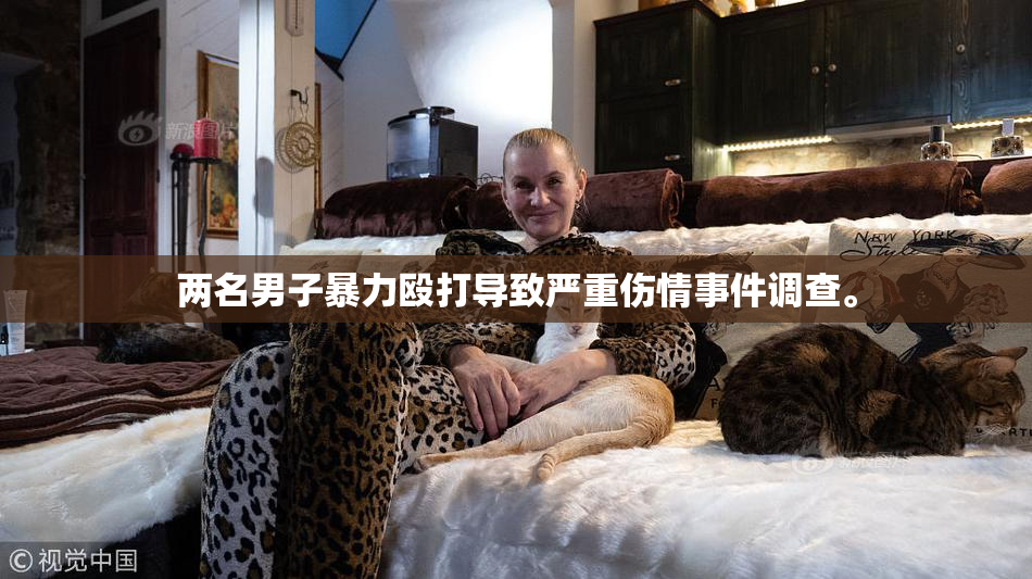 两名男子暴力殴打导致严重伤情事件调查。