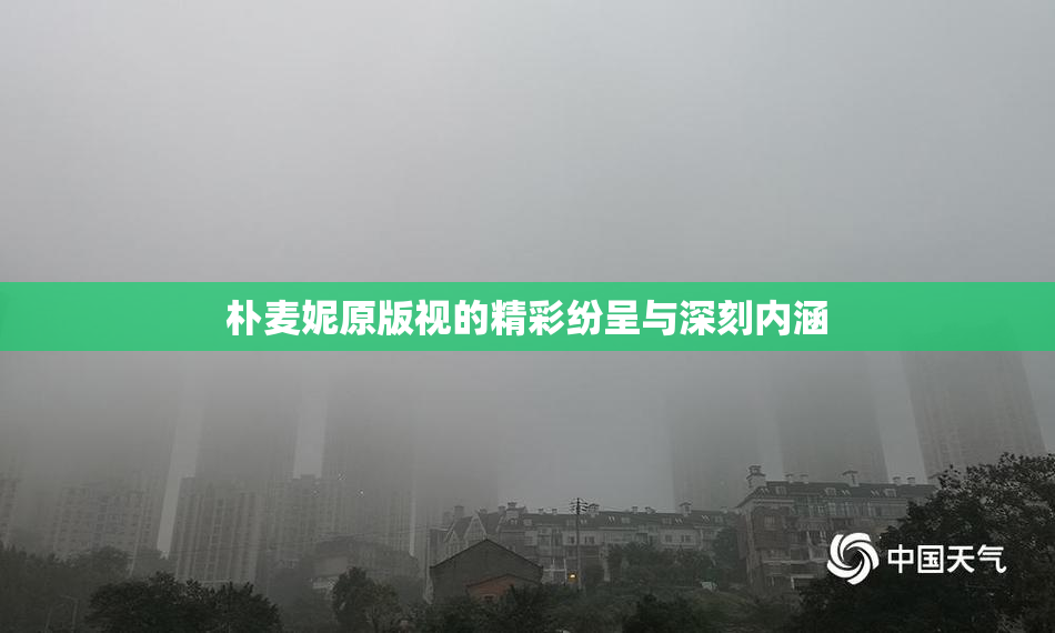 朴麦妮原版视的精彩纷呈与深刻内涵