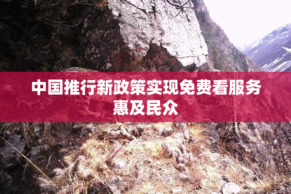 中国推行新政策实现免费看服务惠及民众