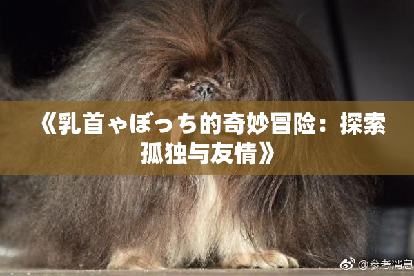《乳首ゃぼっち的奇妙冒险：探索孤独与友情》