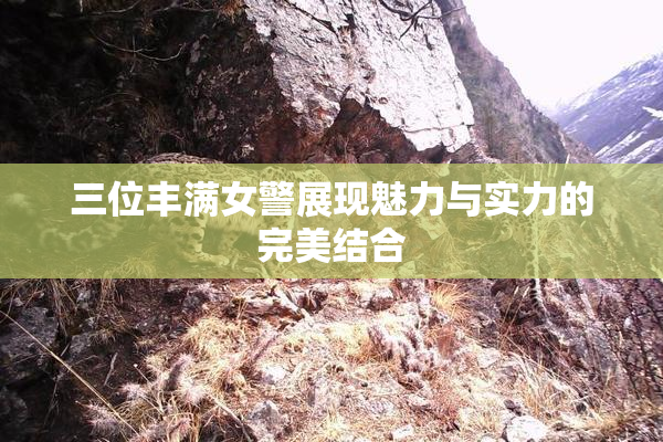 三位丰满女警展现魅力与实力的完美结合
