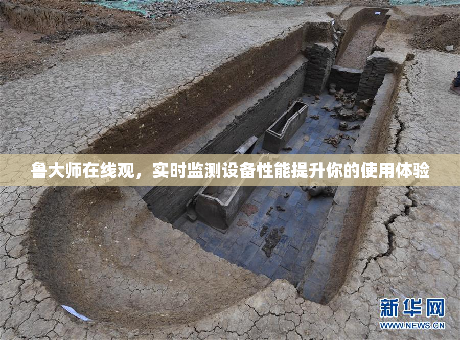 鲁大师在线观，实时监测设备性能提升你的使用体验
