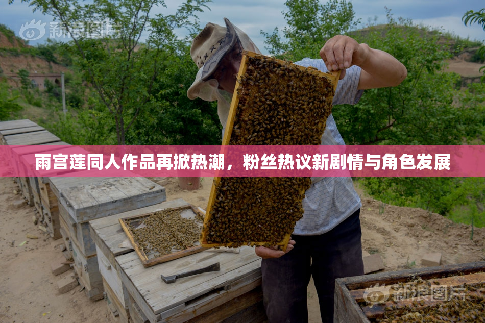 雨宫莲同人作品再掀热潮，粉丝热议新剧情与角色发展