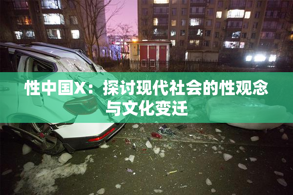 性中国X：探讨现代社会的性观念与文化变迁