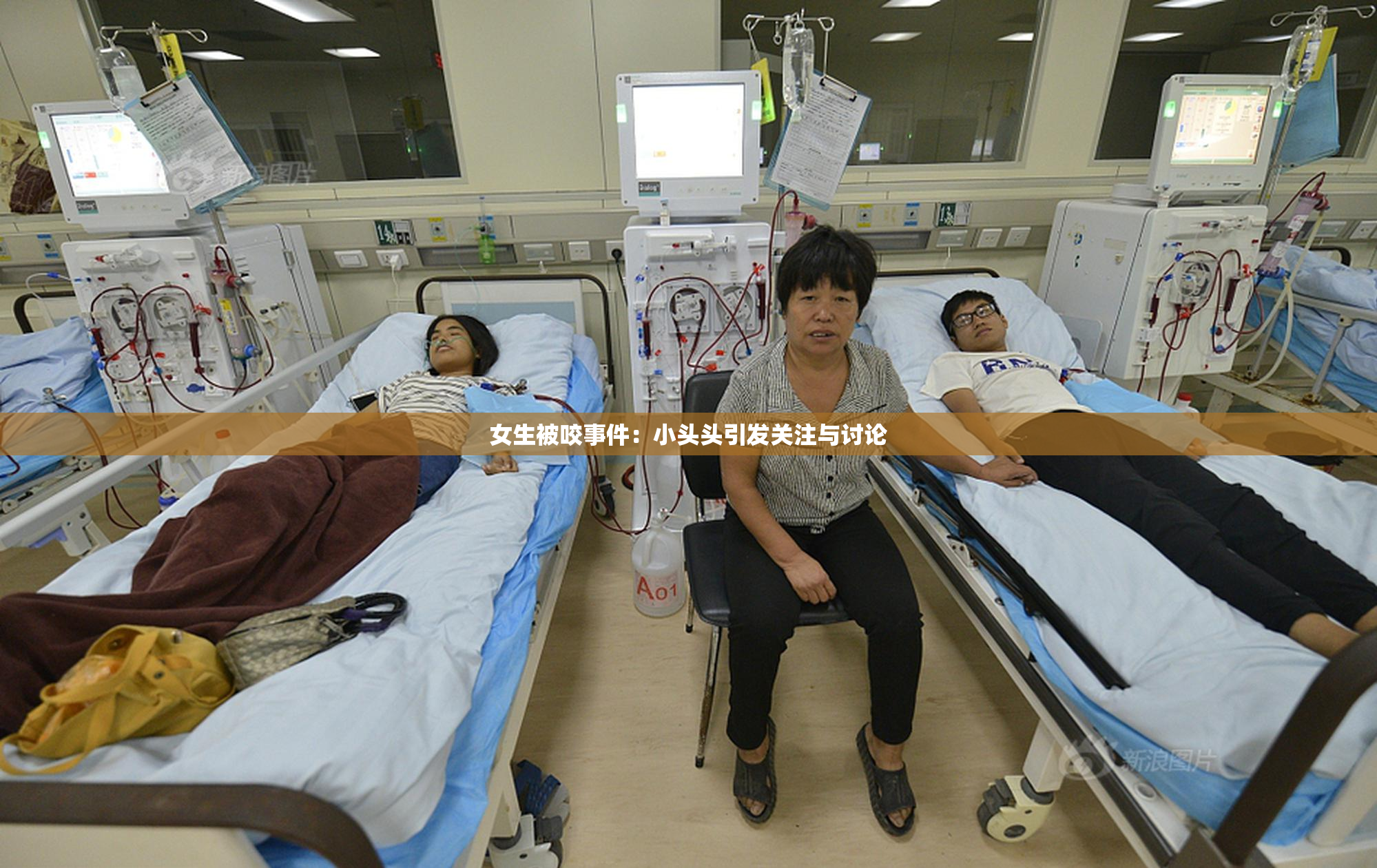 女生被咬事件：小头头引发关注与讨论