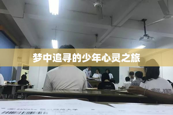 梦中追寻的少年心灵之旅