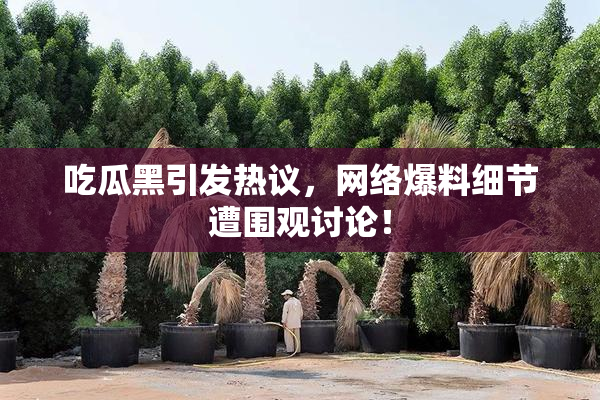 吃瓜黑引发热议，网络爆料细节遭围观讨论！