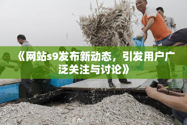 《网站s9发布新动态，引发用户广泛关注与讨论》