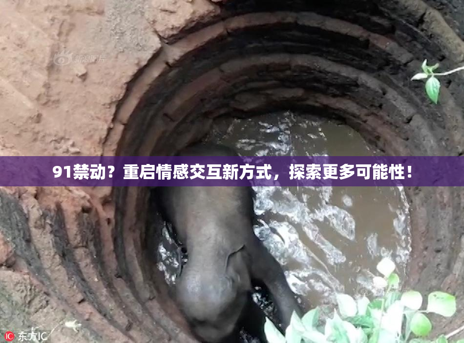 91禁动？重启情感交互新方式，探索更多可能性！