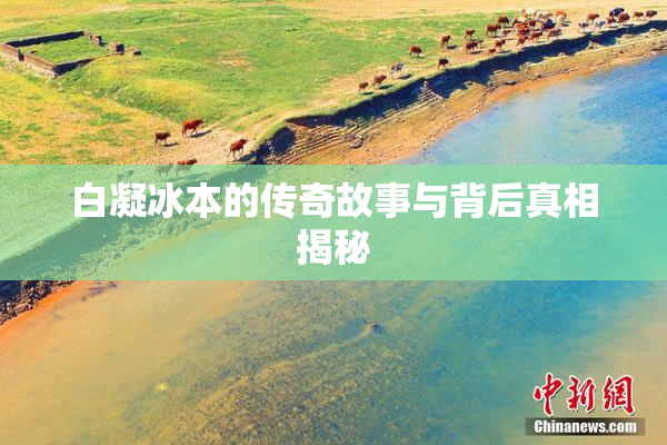 白凝冰本的传奇故事与背后真相揭秘