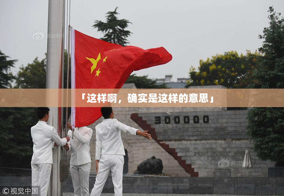 「这样啊，确实是这样的意思」