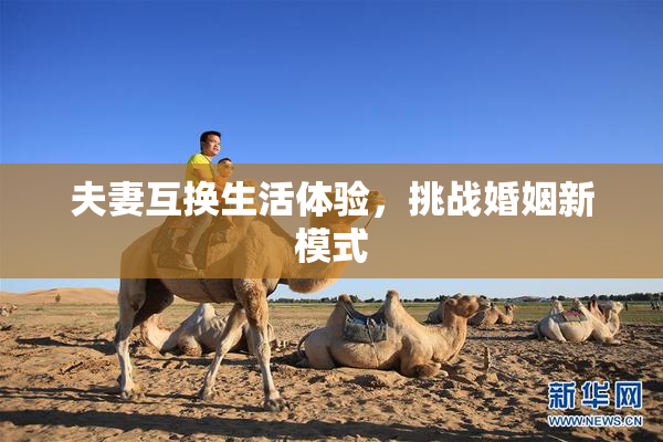 夫妻互换生活体验，挑战婚姻新模式
