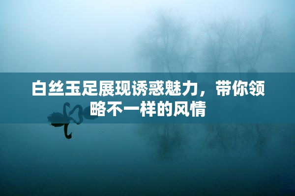白丝玉足展现诱惑魅力，带你领略不一样的风情