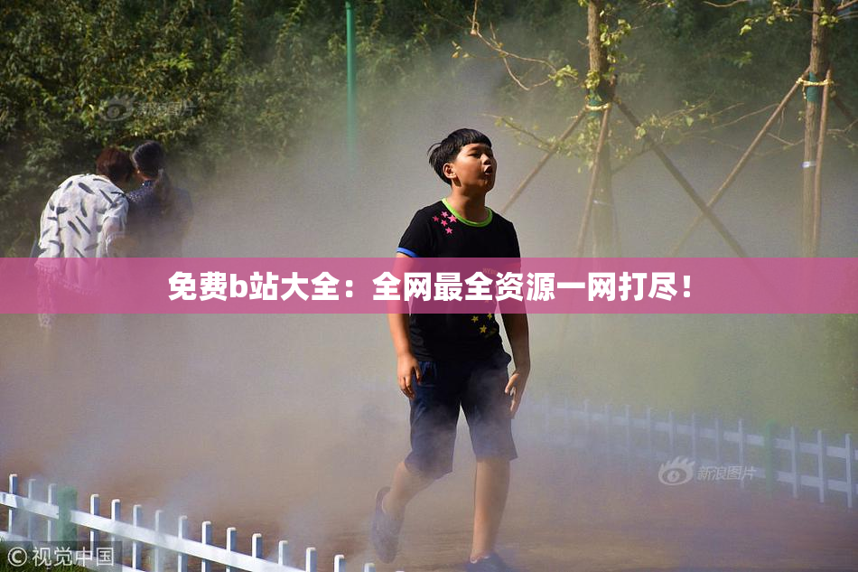 免费b站大全：全网最全资源一网打尽！