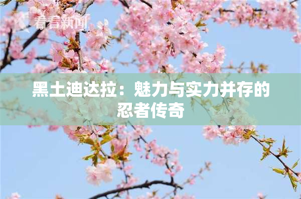 黑土迪达拉：魅力与实力并存的忍者传奇