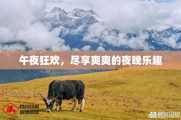 午夜狂欢，尽享爽爽的夜晚乐趣