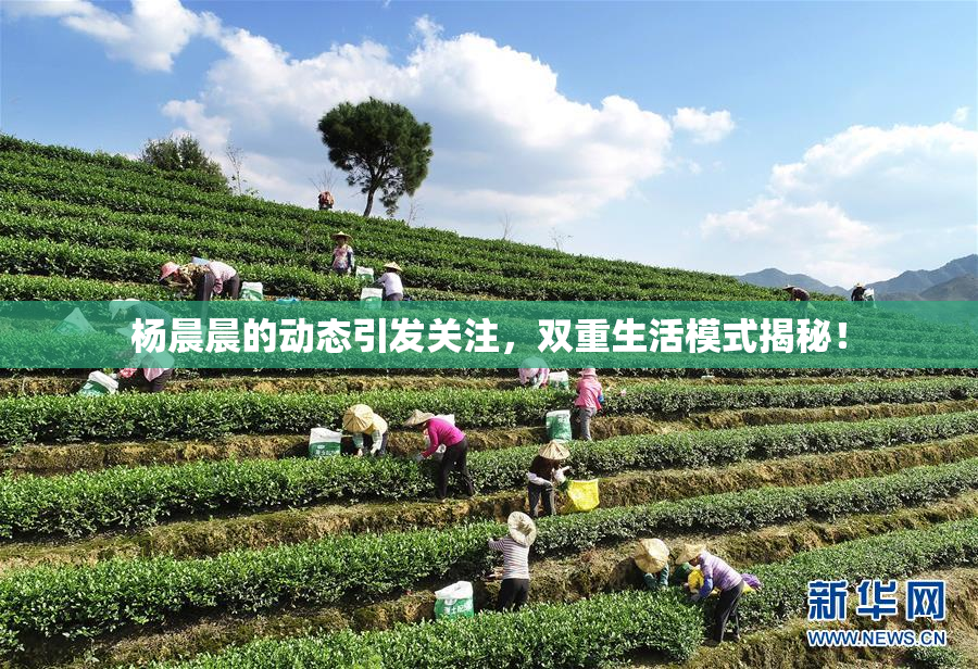 杨晨晨的动态引发关注，双重生活模式揭秘！