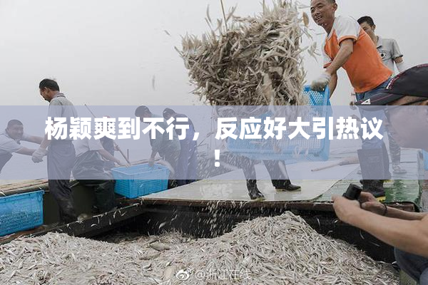 杨颖爽到不行，反应好大引热议！