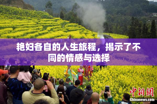 艳妇各自的人生旅程，揭示了不同的情感与选择