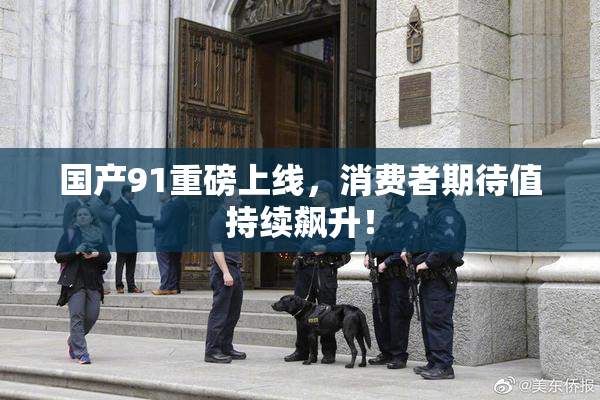 国产91重磅上线，消费者期待值持续飙升！