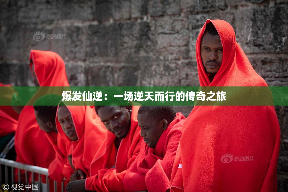爆发仙逆：一场逆天而行的传奇之旅