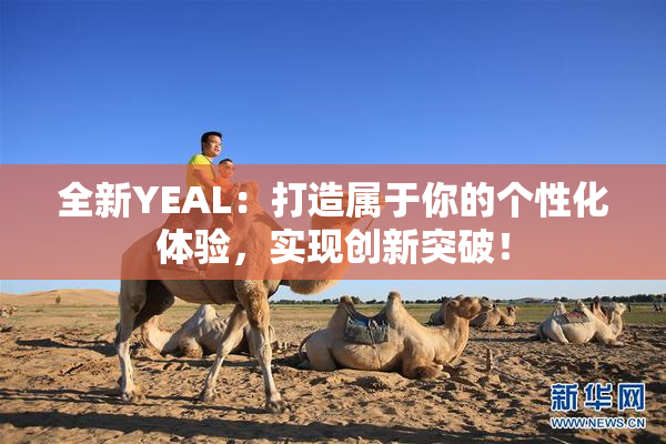 全新YEAL：打造属于你的个性化体验，实现创新突破！