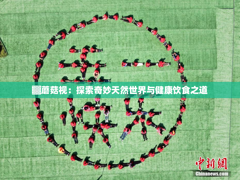 ▓蘑菇视：探索奇妙天然世界与健康饮食之道