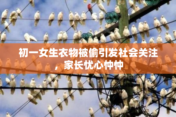 初一女生衣物被偷引发社会关注，家长忧心忡忡